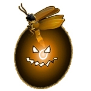 Pumpkin Firefly